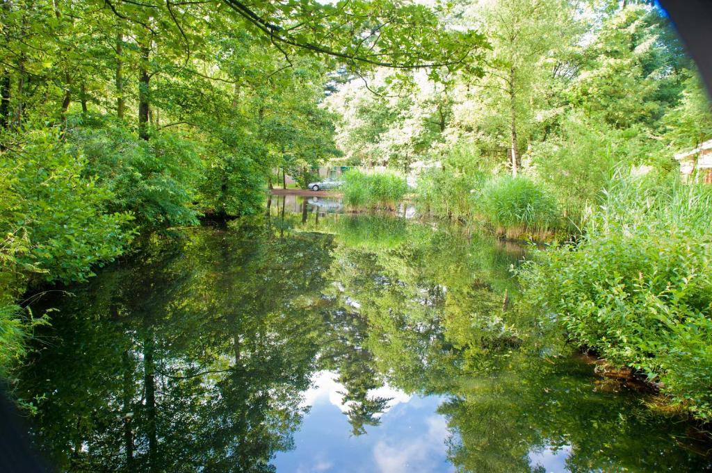 Kootwijk Vakantiepark De Berkenhorst מראה חיצוני תמונה
