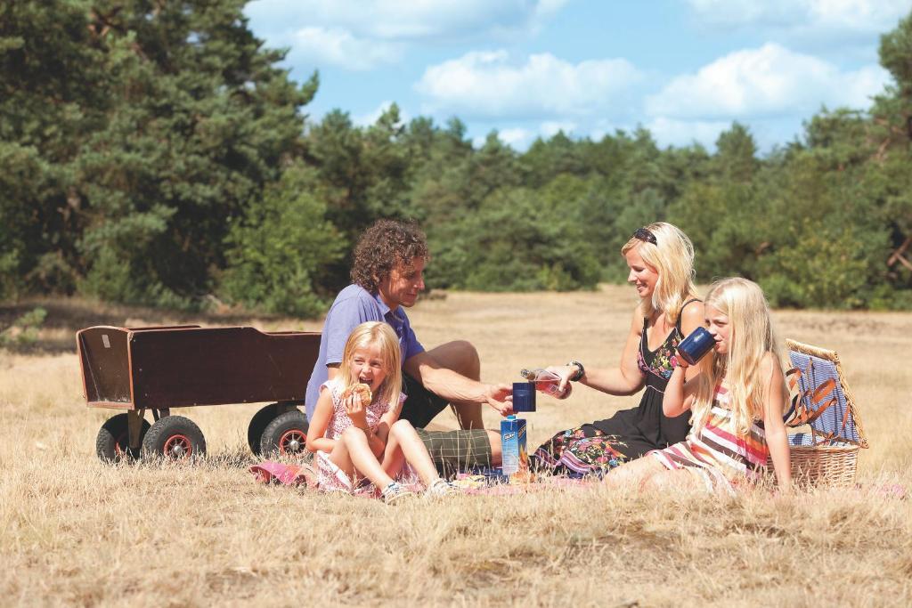 Kootwijk Vakantiepark De Berkenhorst מראה חיצוני תמונה